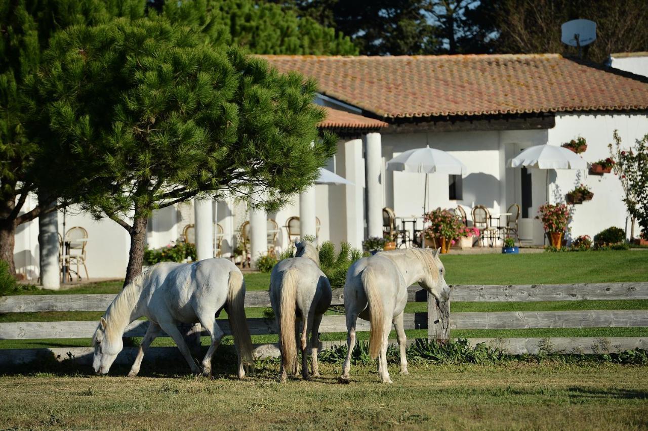 Mas De La Grenouillere Hotel Et Centre Equestre En Pleine Nature サントマリー・ド・ラメール エクステリア 写真
